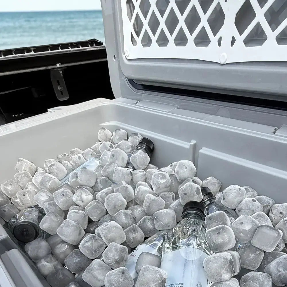 The Foursome - (4 pack) Reusable Ice Cubes and Bag